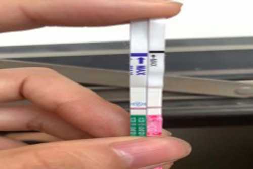 子宫内膜薄不孕